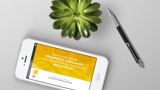 Smart Talent Grid website mobiel