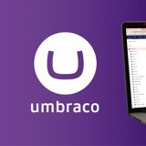 Umbraco 10 Linkedin Tekengebied 1