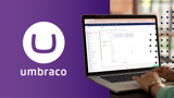 Umbraco 10 Linkedin Tekengebied 1