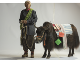 ROSEN NIMA Yak Studio fotografie