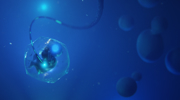Header (1)