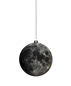 Maan